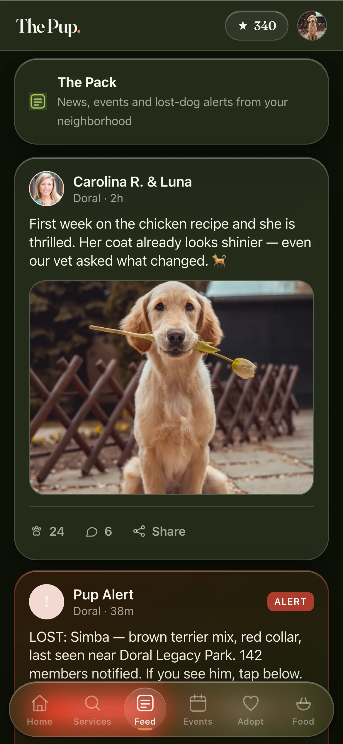 The Pack — your local dog feed